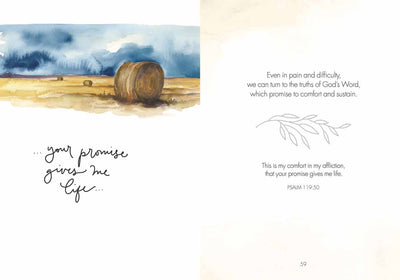 Fields of Joy: Hardcover