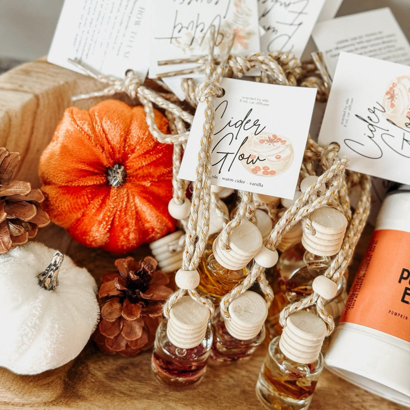 Fall Car Diffusers