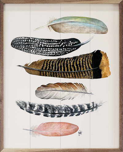 Feathers By Jodi Hatfield: 8 x 10