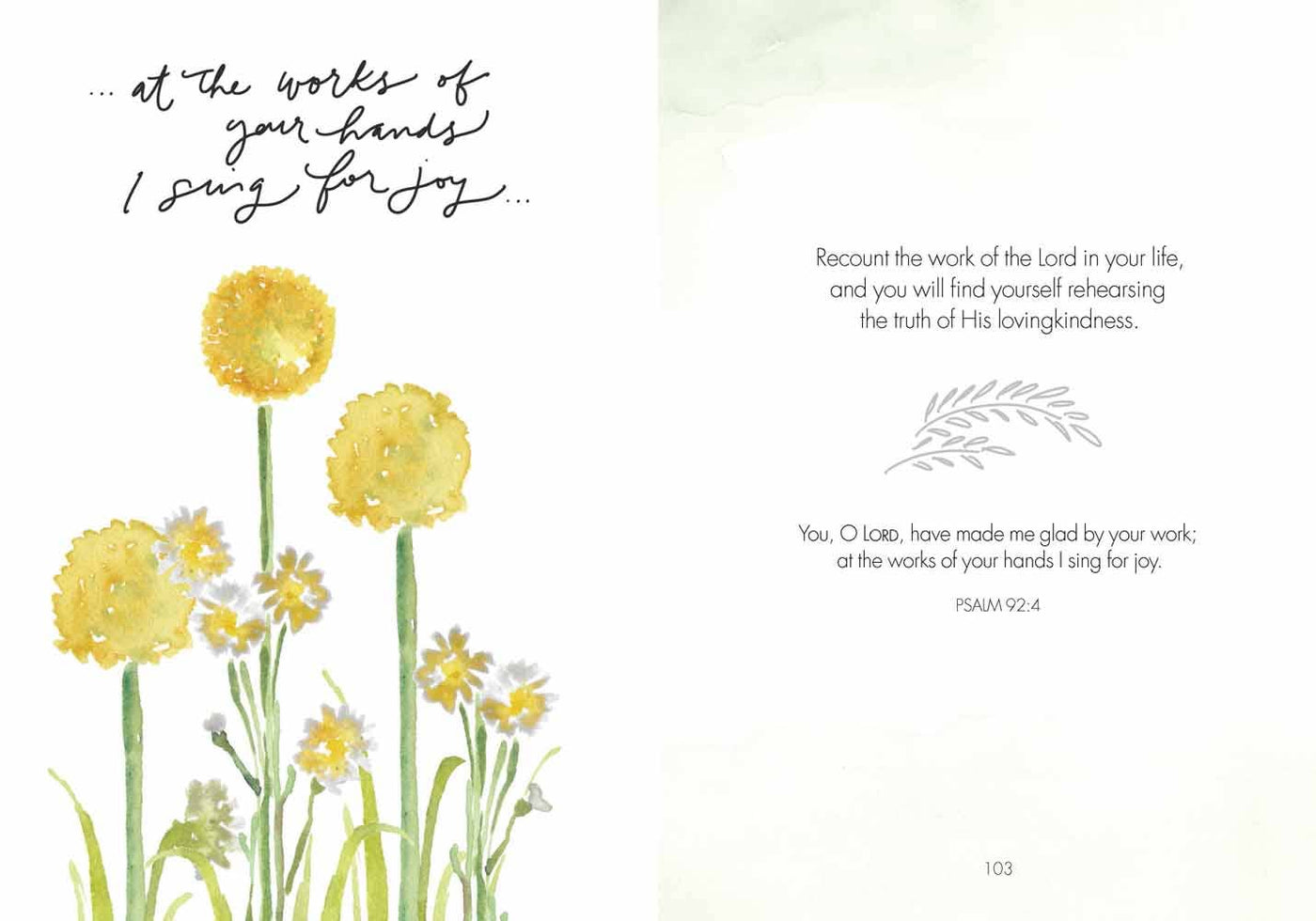 Fields of Joy: Hardcover