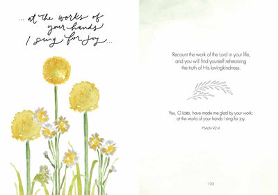 Fields of Joy: Hardcover
