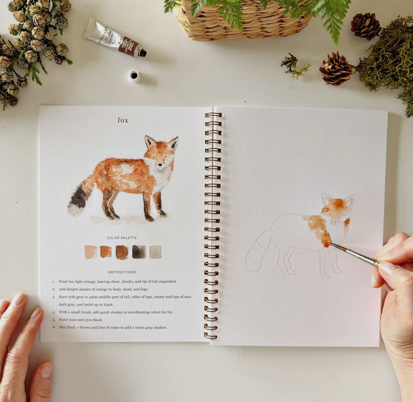 Watercolor Workbooks
