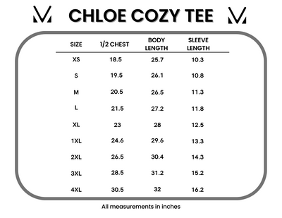 IN STOCK Chloe Cozy Tee - White Liberty Stars