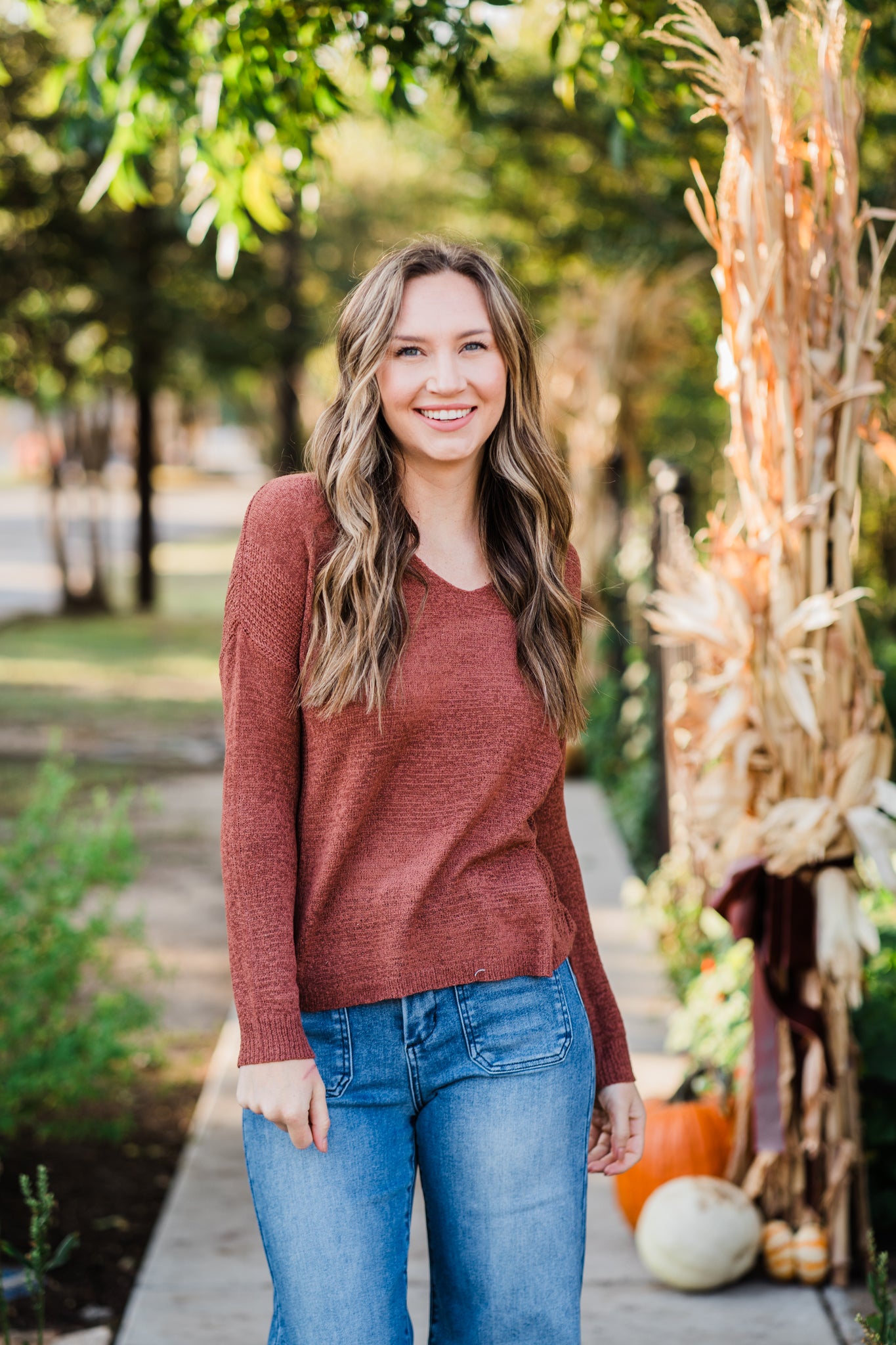 Chestnut Casual V-Neck Sweater