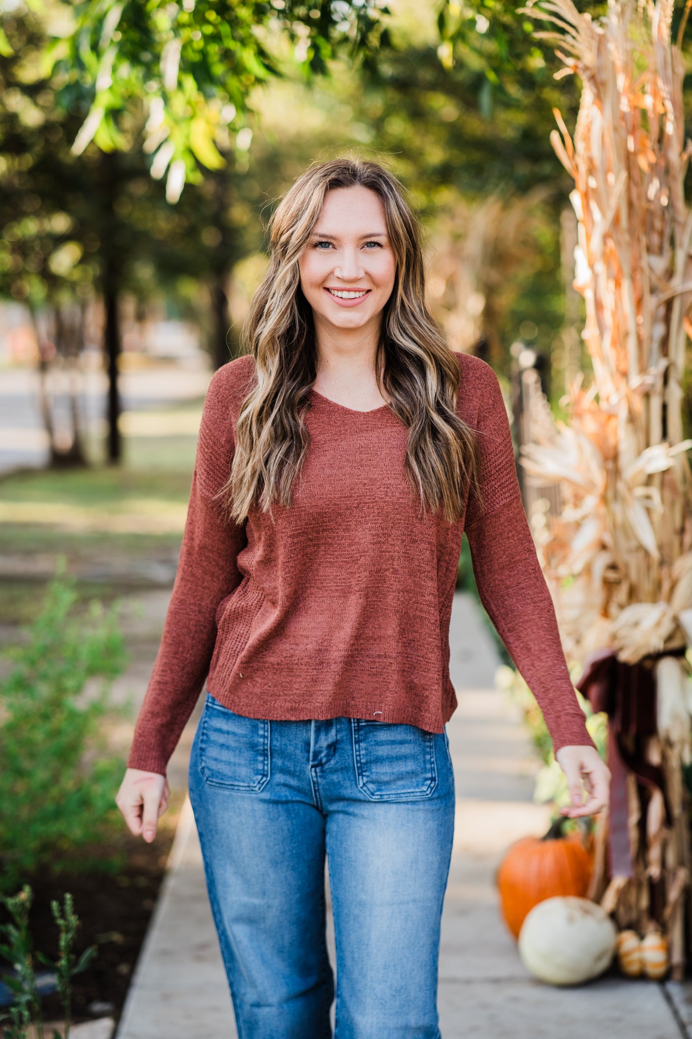 Chestnut Casual V-Neck Sweater