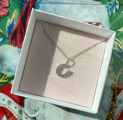 Lucky Horseshoe Charm